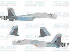 Su-35 T-10M1 (701) Conversion Revell/Zvezda 1:72